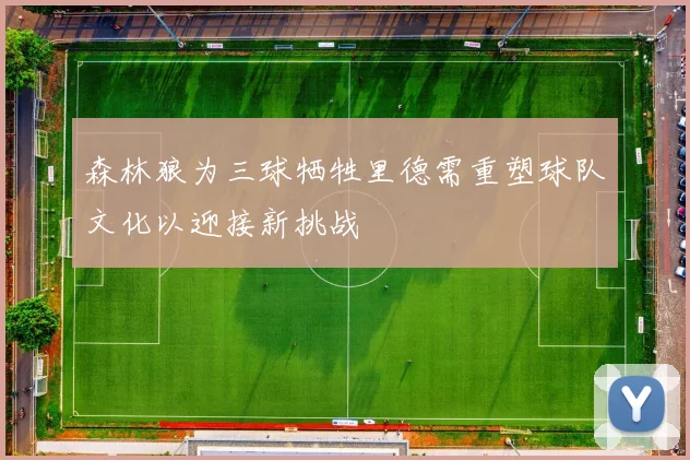 森林狼为三球牺牲里德需重塑球队文化以迎接新挑战